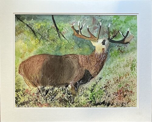Reno en el bosque von Alberto Piret, Werk auf Papier kaufen auf Singulart