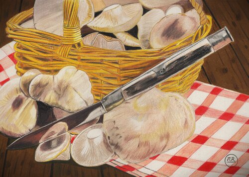 Récolte de champignons di Pierre Bayet, Disegno in vendita su Singulart