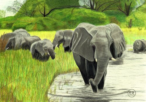 Eléphants en balade von Pierre Bayet, Zeichnungen kaufen auf Singulart