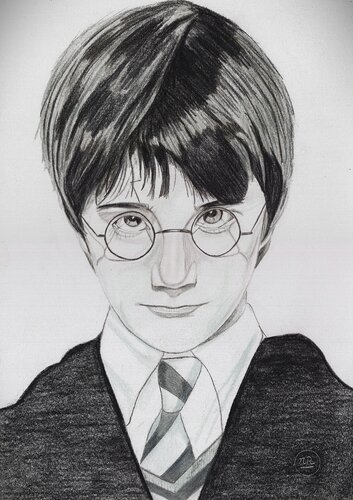 Harry Potter von Pierre Bayet, Zeichnungen kaufen auf Singulart