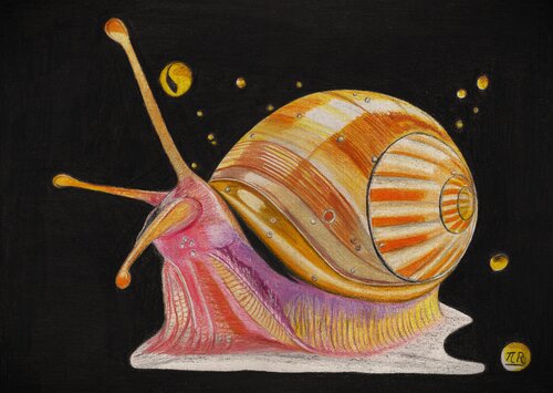 Métamorphose cosmique par Pierre Bayet, Dessin en vente sur Singulart