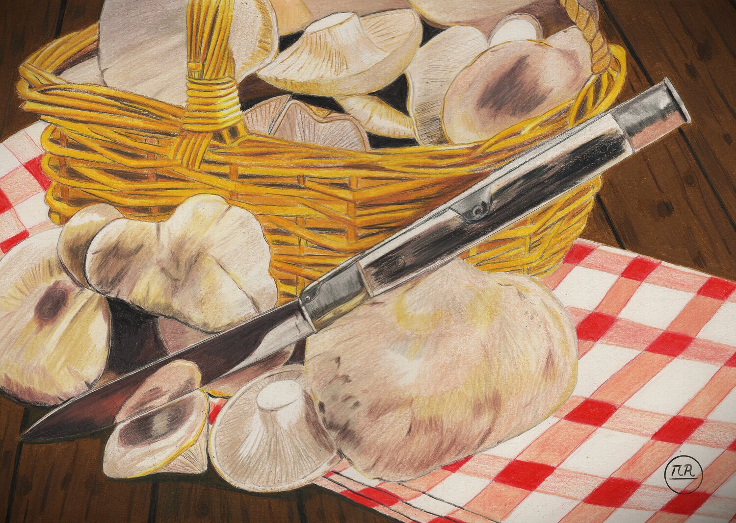 Récolte de champignons Pierre Bayet