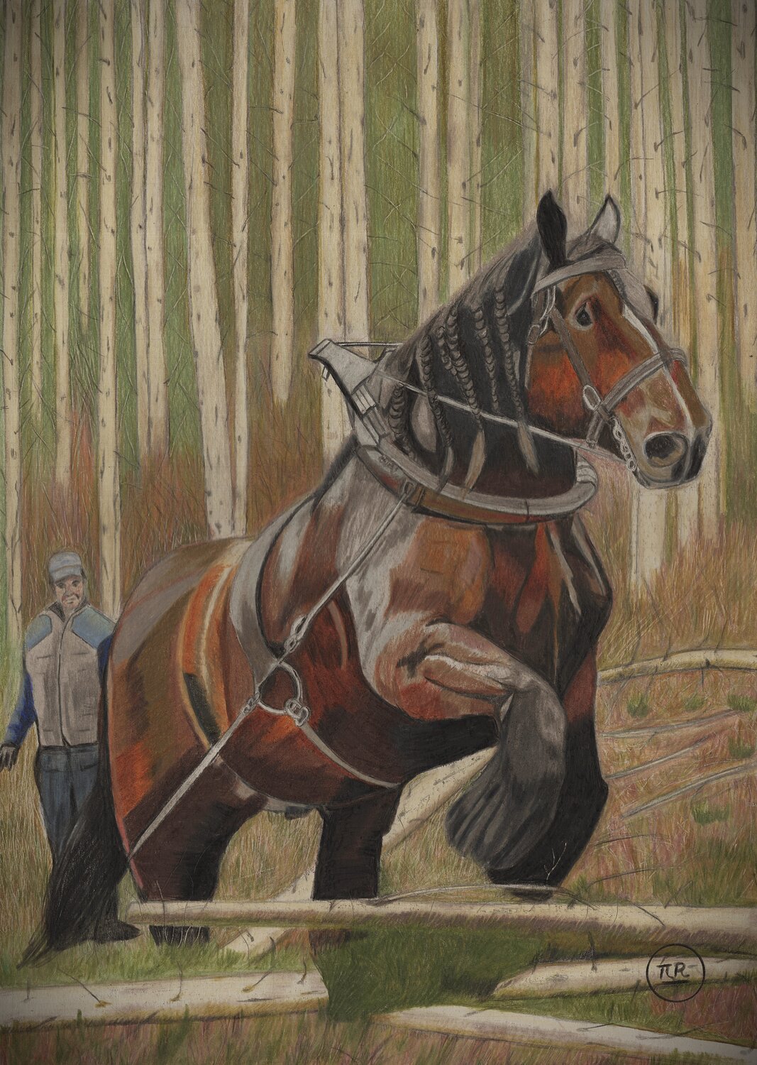 Force et Noblesse Pierre Bayet Tekening te koop