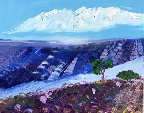 Alpilles et champs de lavandes di Francoise LAVENU, Pittura in vendita su Singulart