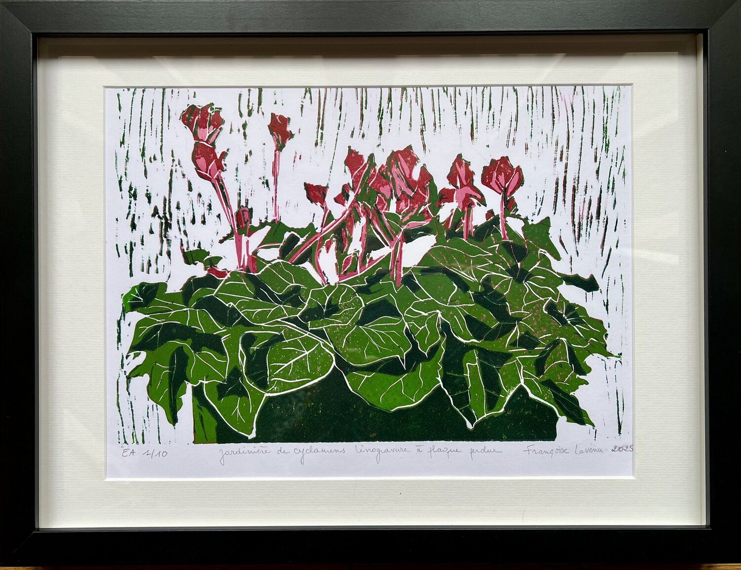 Jardinière de cyclamens Francoise LAVENU