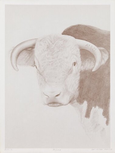 Bull par Dhimitri Zonia, Édition en vente sur Singulart