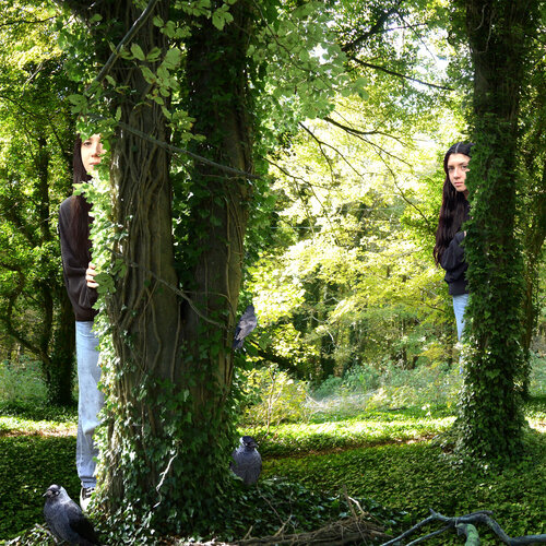 Lyla in Friston Woods (small size) van Jenny Shorter, Fotografie te koop op Singulart