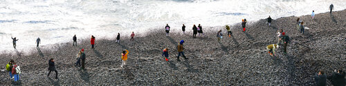 Tidal Drift at Birling Gap (large size) von Jenny Shorter, Fotografie kaufen auf Singulart