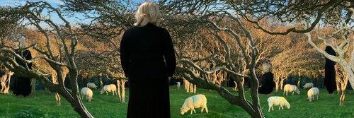 The Flock (medium size) van Jenny Shorter, Fotografie te koop op Singulart