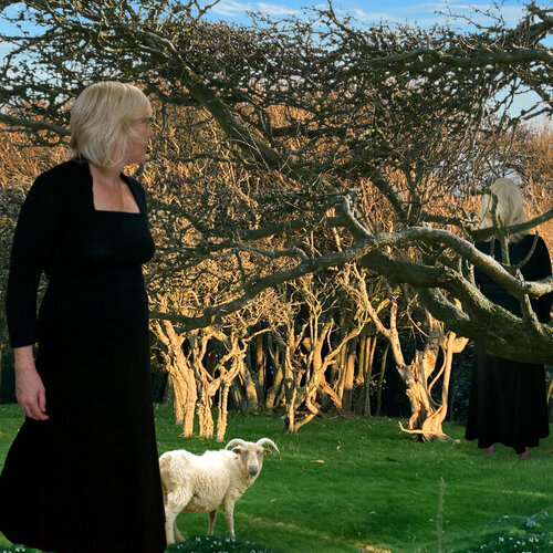 The Flock (small size) van Jenny Shorter, Fotografie te koop op Singulart