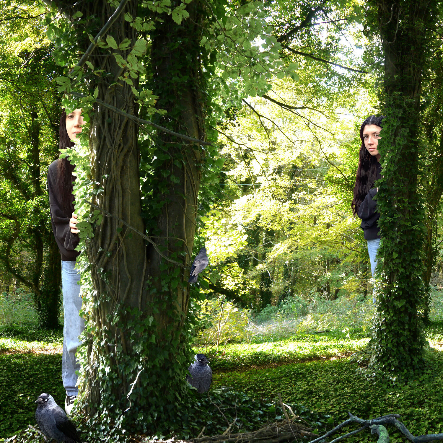 Lyla in Friston Woods (small size) Jenny Shorter Fotografie zu verkaufen