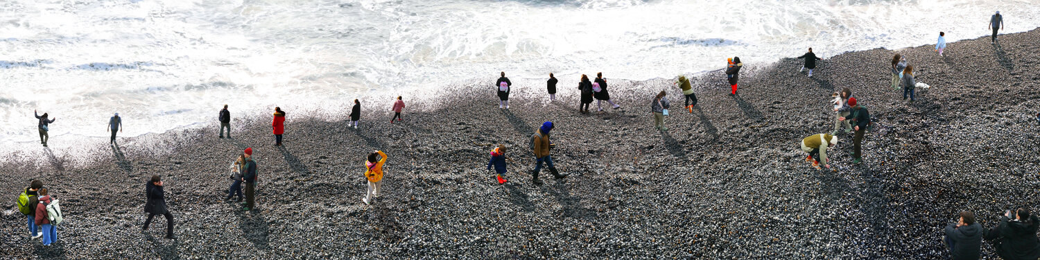 Tidal Drift at Birling Gap (large size) Jenny Shorter