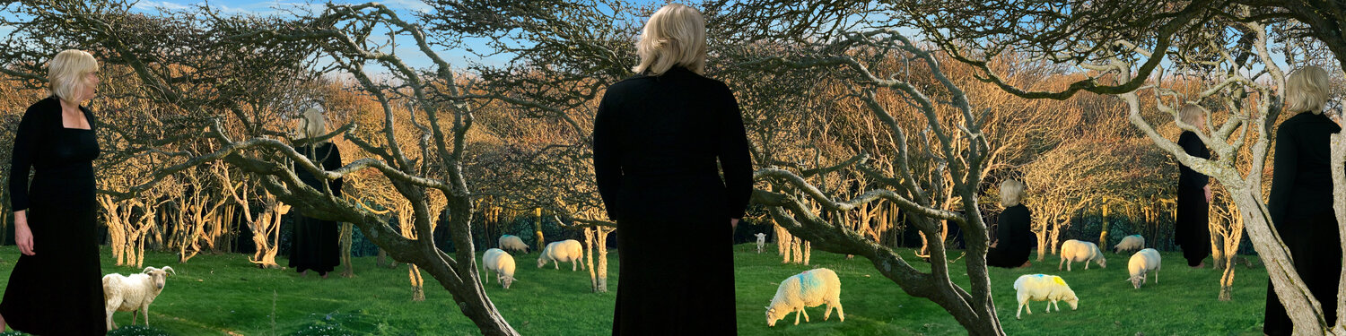 The Flock (large size) Jenny Shorter