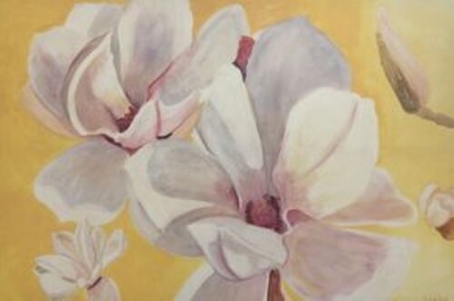 Magnolien van Sonja Arvai, Schilderij te koop op Singulart
