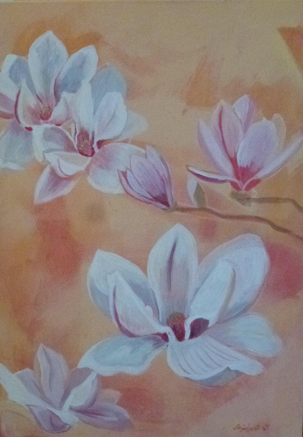 Zarte Magnolien Sonja Arvai