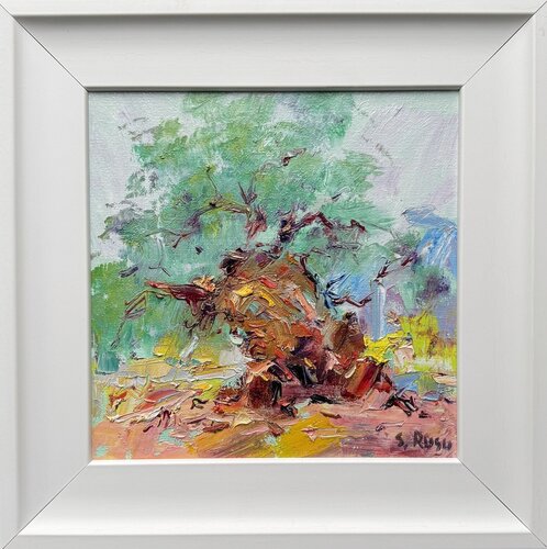"Vieil Olivier" di Sergiu RUSU, Pittura in vendita su Singulart