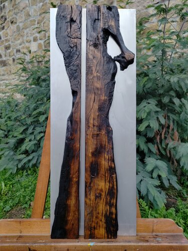 "la dame de la forêt"   Tableau Inox et olivier by Michel Peretti, Other Media for Sale on Singulart