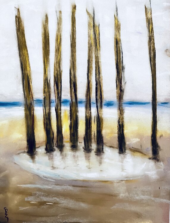 Sentinelles du reflux Sylvie Pulur