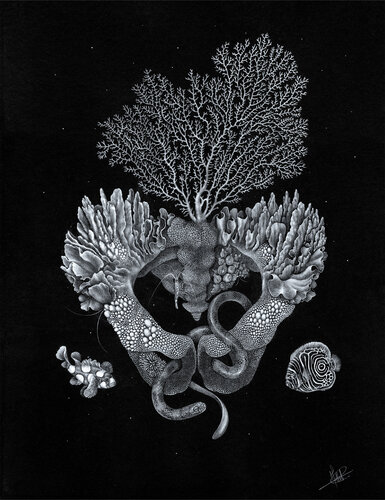 Bassin corallien par Charlotte Mollet, Dessin en vente sur Singulart
