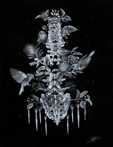 Arbor spinalis by Charlotte Mollet, 소묘 for Sale on Singulart