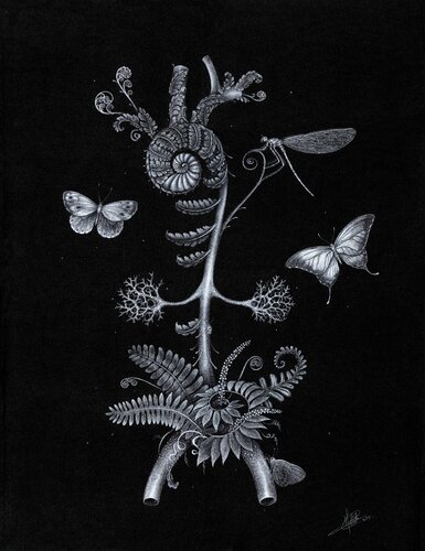 Cyathea aorta by Charlotte Mollet, Drawing for Sale on Singulart