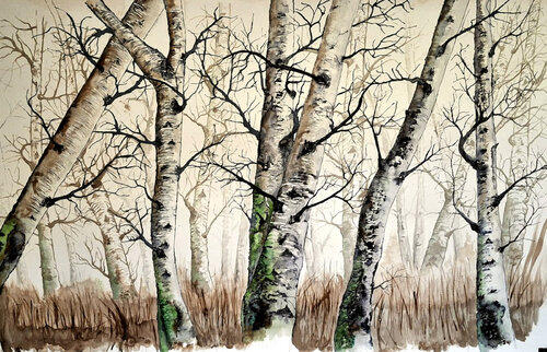 les bouleaux by roger achache, Work on Paper for Sale on Singulart