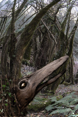 le bec de lierre de roger achache, Otros medios a la venta en Singulart