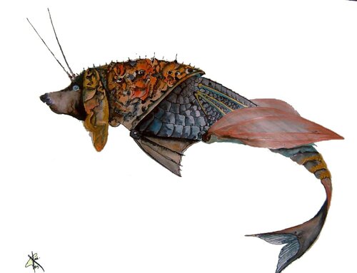 Cinocholé helitracien van roger achache, Werk op papier te koop op Singulart