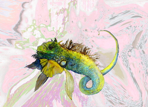dragon de kURKUBA di roger achache, Opera su carta in vendita su Singulart