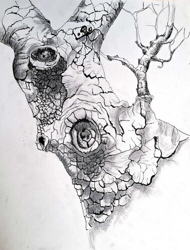 les yeux de la foret étude du tronc d'arbre von roger achache, Malerei kaufen auf Singulart