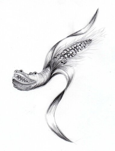 fantaisie van roger achache, Tekening te koop op Singulart