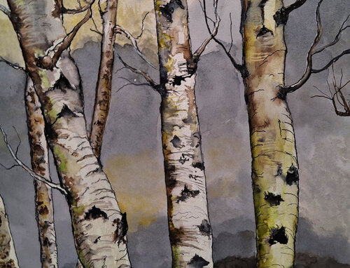 bouleaux en neigés détail di roger achache, Opera su carta in vendita su Singulart