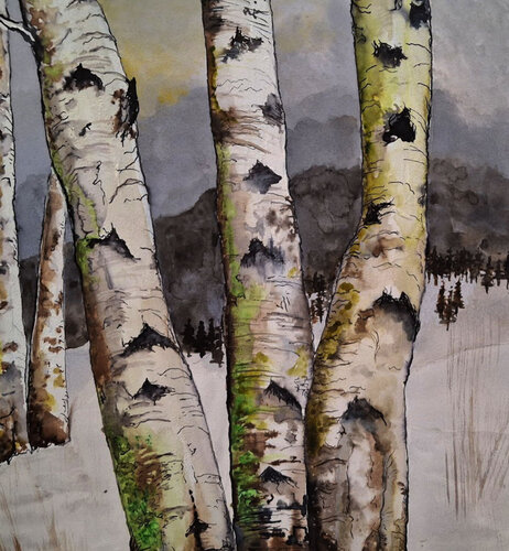 bouleaux en neigés  détail de roger achache, Obra en papel a la venta en Singulart