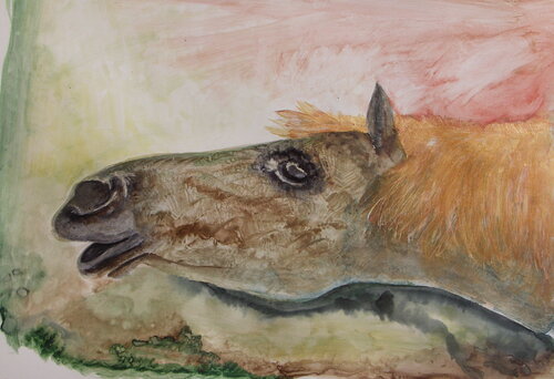 au galop van roger achache, Schilderij te koop op Singulart