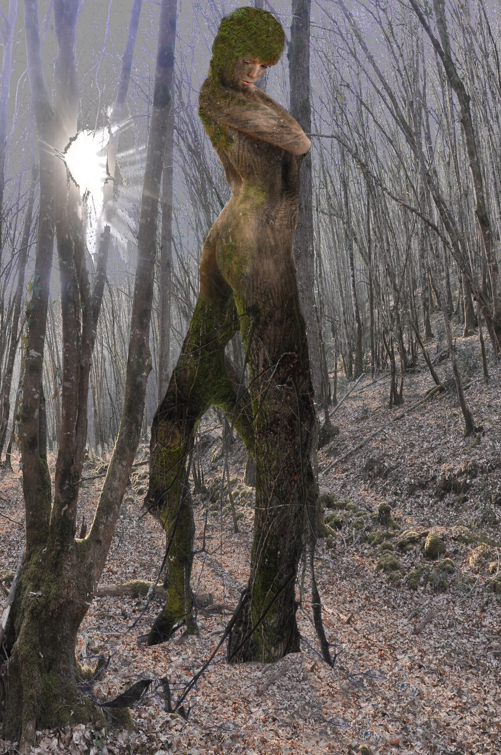 l'amazone roger achache