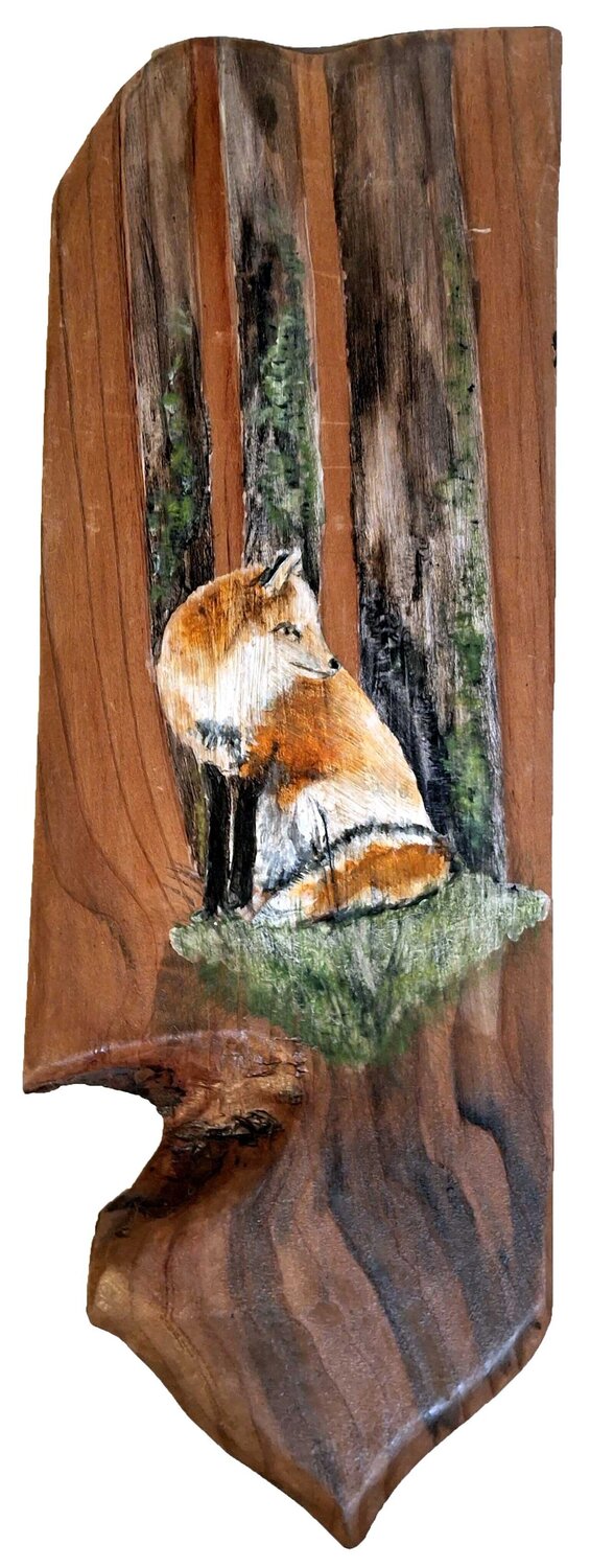 renard dans les hêtres roger achache