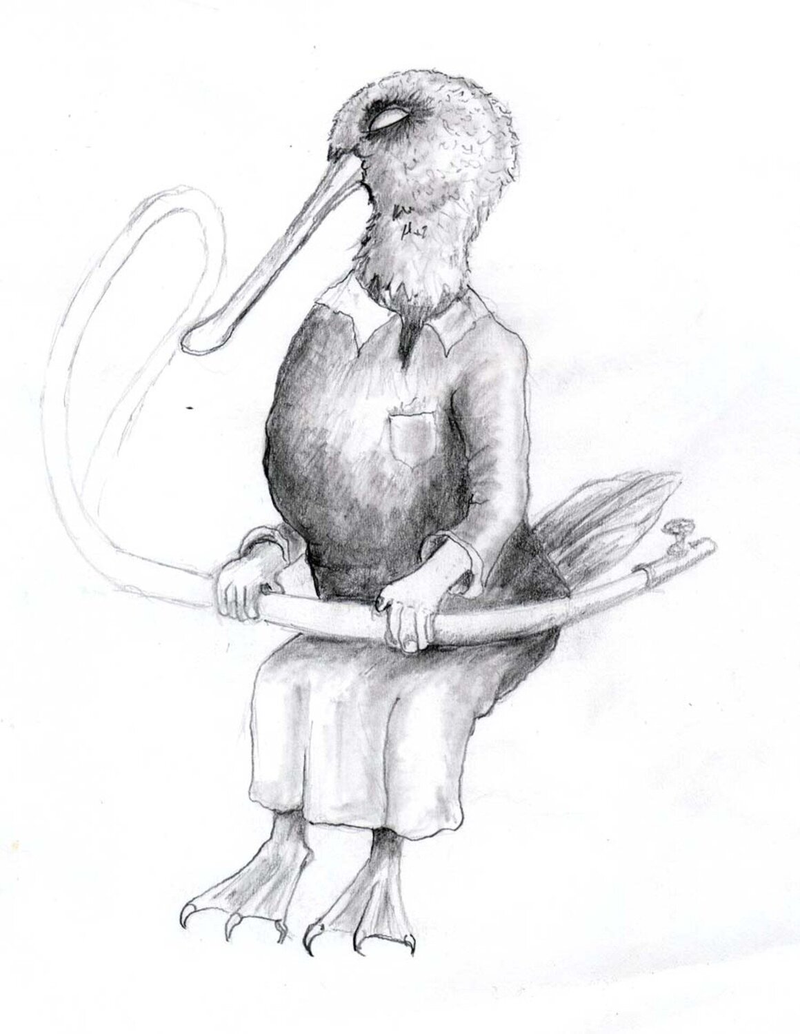 fantaisie roger achache