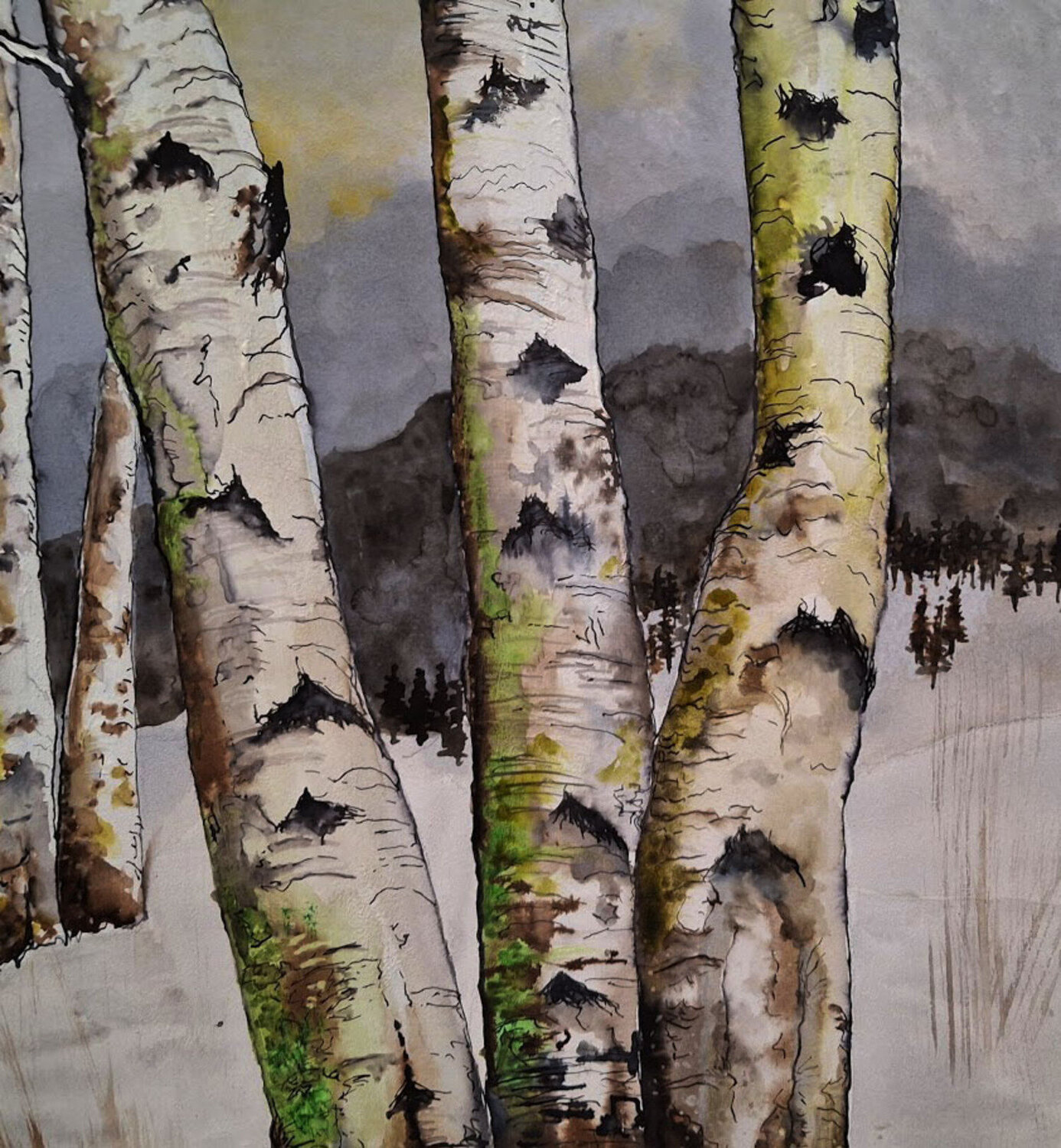 bouleaux en neigés  détail roger achache