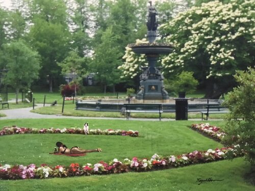 Halifax Public Garden Three di Raymond Chow, Fotografia in vendita su Singulart