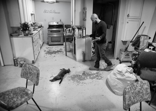 Alex: Company van Joel Dyer, Fotografie te koop op Singulart