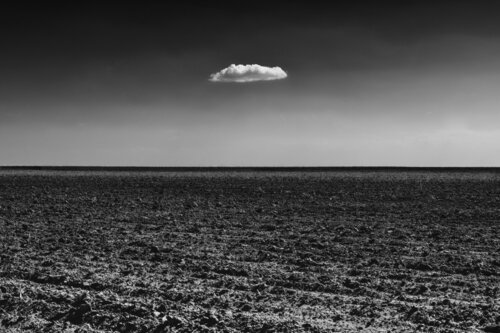 Pray Harder von Joel Dyer, Fotografie kaufen auf Singulart