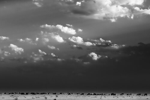 last Meal Before the Dust Storm von Joel Dyer, Fotografie kaufen auf Singulart