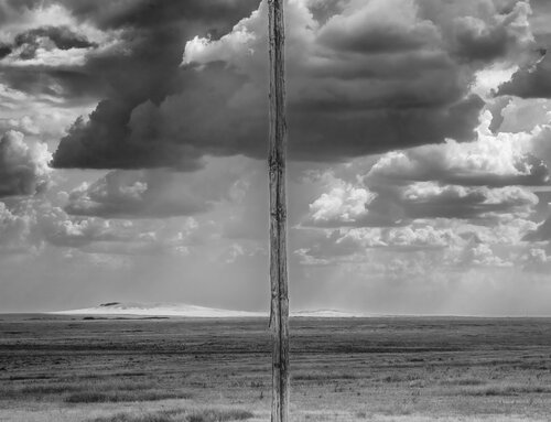 Divided Land Joel Dyer