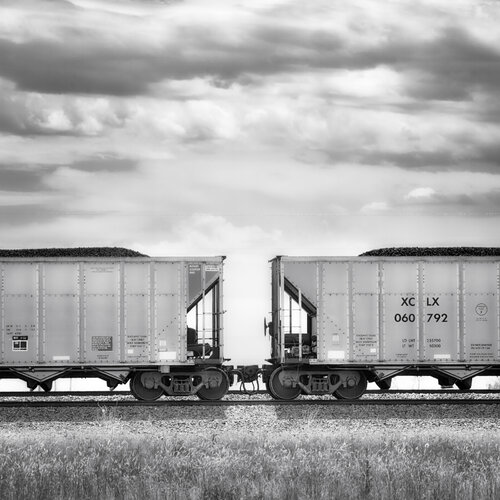Twins di Joel Dyer, Fotografia in vendita su Singulart