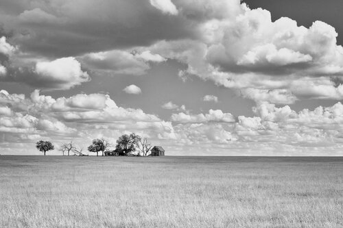 Dust Bowl Memories di Joel Dyer, Fotografia in vendita su Singulart