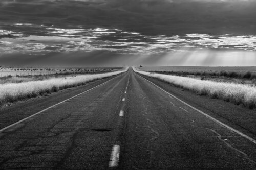 White Lines Joel Dyer