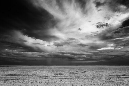 And Then She Turned Towards the Moon di Joel Dyer, Fotografia in vendita su Singulart