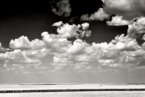 Get in Line di Joel Dyer, Fotografia in vendita su Singulart