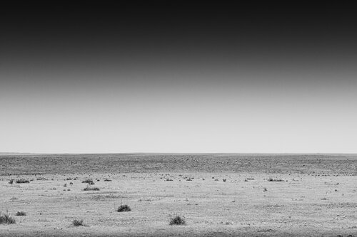 The Empty Land par Joel Dyer, Photographie en vente sur Singulart