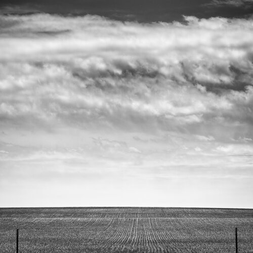 The Perfect Field Joel Dyer